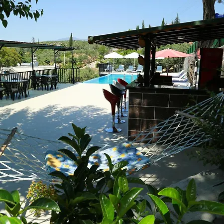Sema 3* Patara