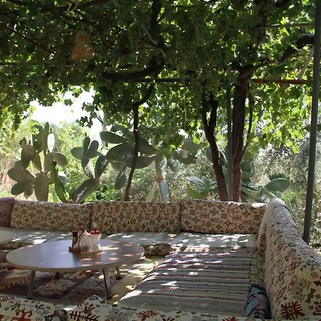 Sema 3* Patara