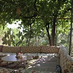 Sema 3* Patara