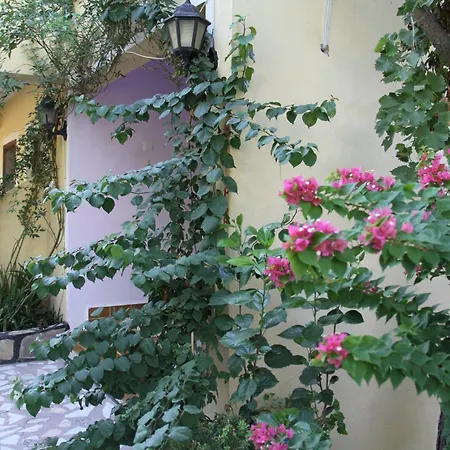 Sema 3* Patara