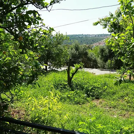 Sema Hotel Patara