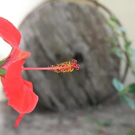 Sema Hotel 3*